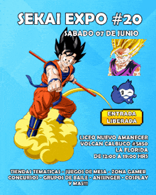 a poster for a sekai expo # 20 shows a cartoon character flying through the air