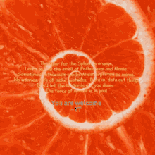 Orange Spiral GIF - Orange Spiral Spleen GIFs