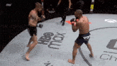 two men are fighting in a boxing ring with hbo max on the floor