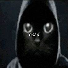 a black cat wearing a hooded jacket with the word okak on the bottom right