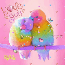aww love bird love you hearts