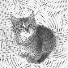 Cat Dots GIF