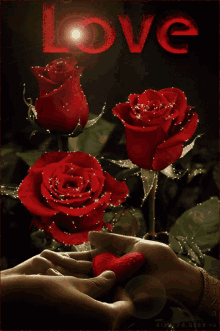 Love Roses GIF - Love Roses Flowers GIFs