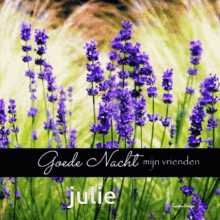 Julieulic GIF - Julieulic GIFs
