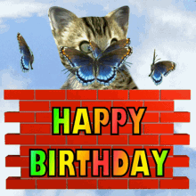 Funny Happy Birthday Happy Birthday Kitten GIF - Funny Happy Birthday Happy Birthday Kitten Happy Birthday Butterflies GIFs