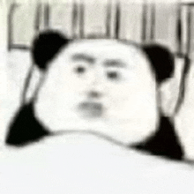 a panda bear is laying in a bed with a blanket on it and making a funny face .