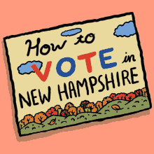 How To Vote In New Hampshire Nh GIF - How To Vote In New Hampshire New Hampshire Nh GIFs