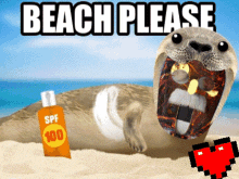 Beach Please GIF - Beach Please GIFs