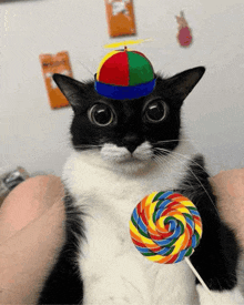 a black and white cat is wearing a hat and holding a lollipop