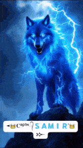 a picture of a blue wolf with lightning and the name amir