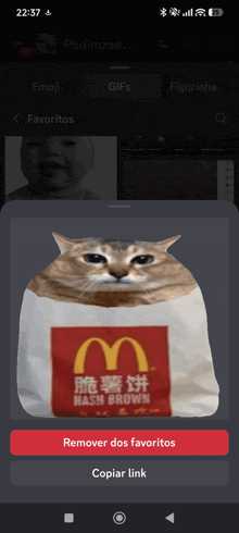a phone screen shows a cat in a mcdonald 's hash brown bag