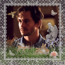 a picture of a man surrounded by animals and flowers has the word picmix on the bottom