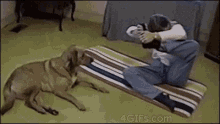 Copy Doggie GIF - Copy Dog Yoga GIFs