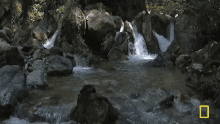 Many Waterfalls Natural Stream GIF - Many Waterfalls Natural Stream Natgeo GIFs