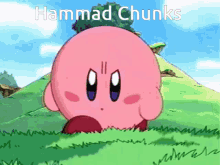 Hammad Chunks GIF