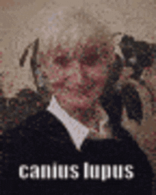 Biromari Canius Lupus GIF