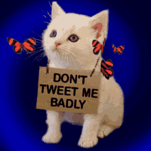Dont Treat Me Badly Do Not Treat Me Badly GIF - Dont Treat Me Badly Do Not Treat Me Badly Dont Hurt Me GIFs