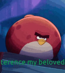 Terence My Beloved GIF - Terence My Beloved Angry Birds GIFs