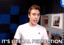 Its Literal Perfection Amazing GIF - Its Literal Perfection Perfection Amazing GIFs