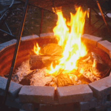 Fire Campfire GIF - Fire Campfire Burn GIFs