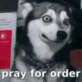 Pray For Order GIF - Pray For Order GIFs