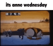 Amphibia Anne Anne Wednesday GIF - Amphibia Anne Anne Wednesday Wednesday GIFs