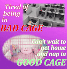 a poster that says tired of being in bad cage can t wait to get home and nap in good cage