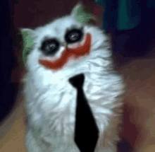 Kucing Badut GIF