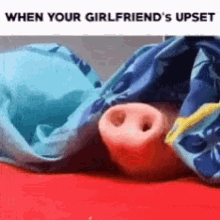 Pig Crackers GIF