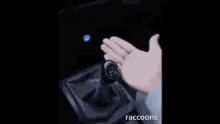 Raccoon Meme GIF - Raccoon Meme Car GIFs