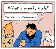 Tintin Captain GIF
