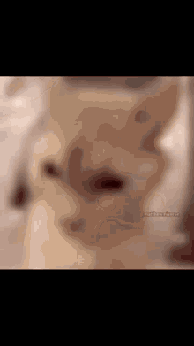 Oh My God GIF