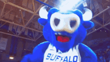 Buffalo Bulls Victor E Bull GIF - Buffalo Bulls Victor E Bull Bulls GIFs