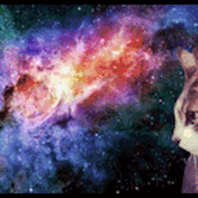 Cat Space GIF - Cat Space Galaxy GIFs