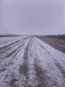 a snowy field with a few trees in the distance