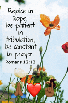 rejoice in hope be patient in tribulation be constant in prayer romans 12:10