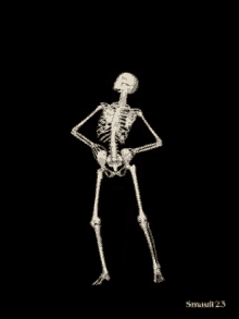 Skeleton Dance GIF - Skeleton Dance Happy GIFs