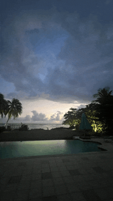 a swimming pool surrounded by palm trees and a blue umbrella
