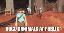 a video game scene with the words bogo danimals at publix on the bottom