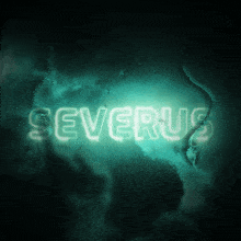 Severus Software GIF - Severus Software GIFs