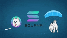 Solano GIF - Solano GIFs