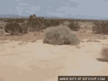Quiet Desert GIF - Quiet Desert Wnd GIFs