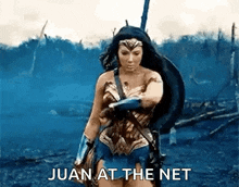 a woman in a wonder woman costume is standing in a field with a sword and shield .