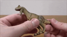 a person is holding a toy dinosaur in their hands .