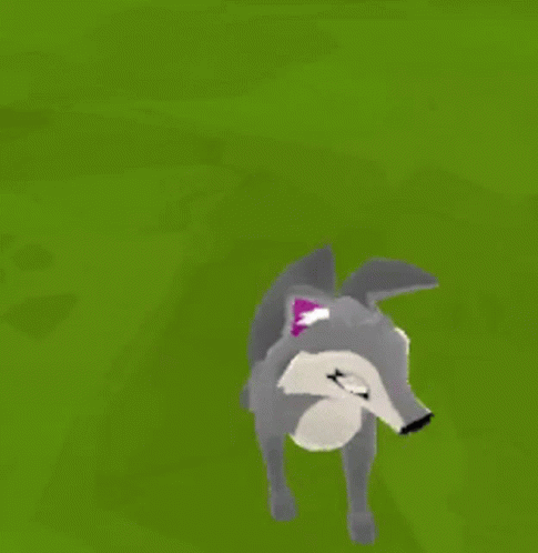Spin Coyote GIF - Spin Coyote Moomoo - Discover & Share GIFs