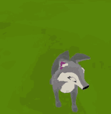 Spin Coyote GIF - Spin Coyote Moomoo GIFs