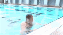 Hot Japanese Man  GIF - Japanese Swimming Pecs GIFs
