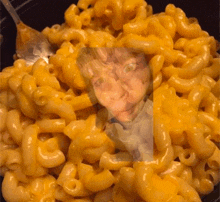 a close up of macaroni and cheese with a woman 's face in the middle