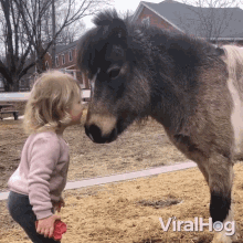 Girl Kissing Pony Viralhog GIF - Girl Kissing Pony Viralhog Girl Bonds With Pony GIFs