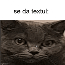 a black and white photo of a cat with the caption se da textul